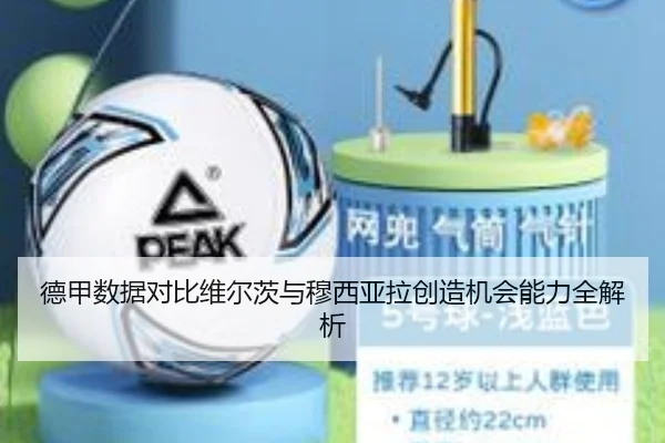 德甲数据对比维尔茨与穆西亚拉创造机会能力全解析