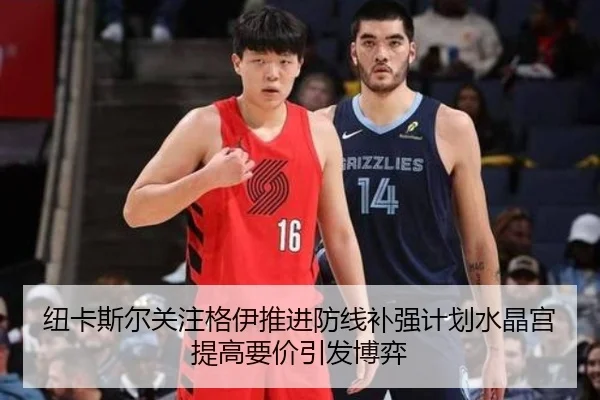 纽卡斯尔关注格伊推进防线补强计划水晶宫提高要价引发博弈
